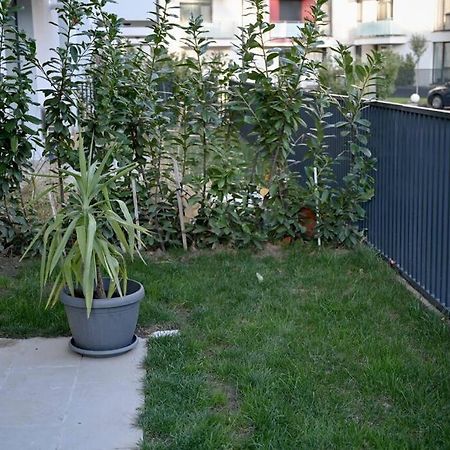 Apartamento #Minehouse Timisoara Exterior foto